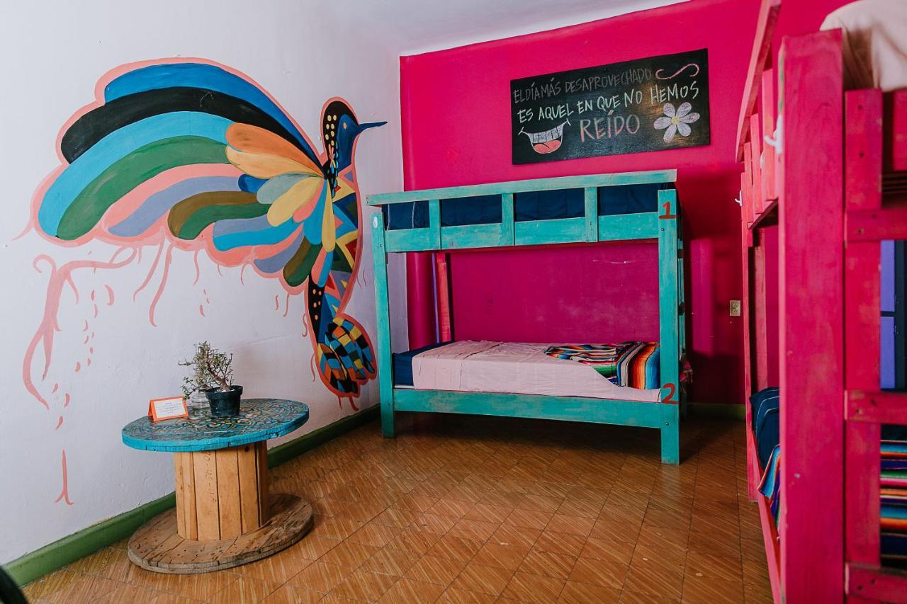 hostal chesal San Luis Potosí Exterior foto