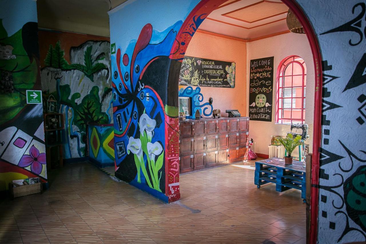 hostal chesal San Luis Potosí Exterior foto